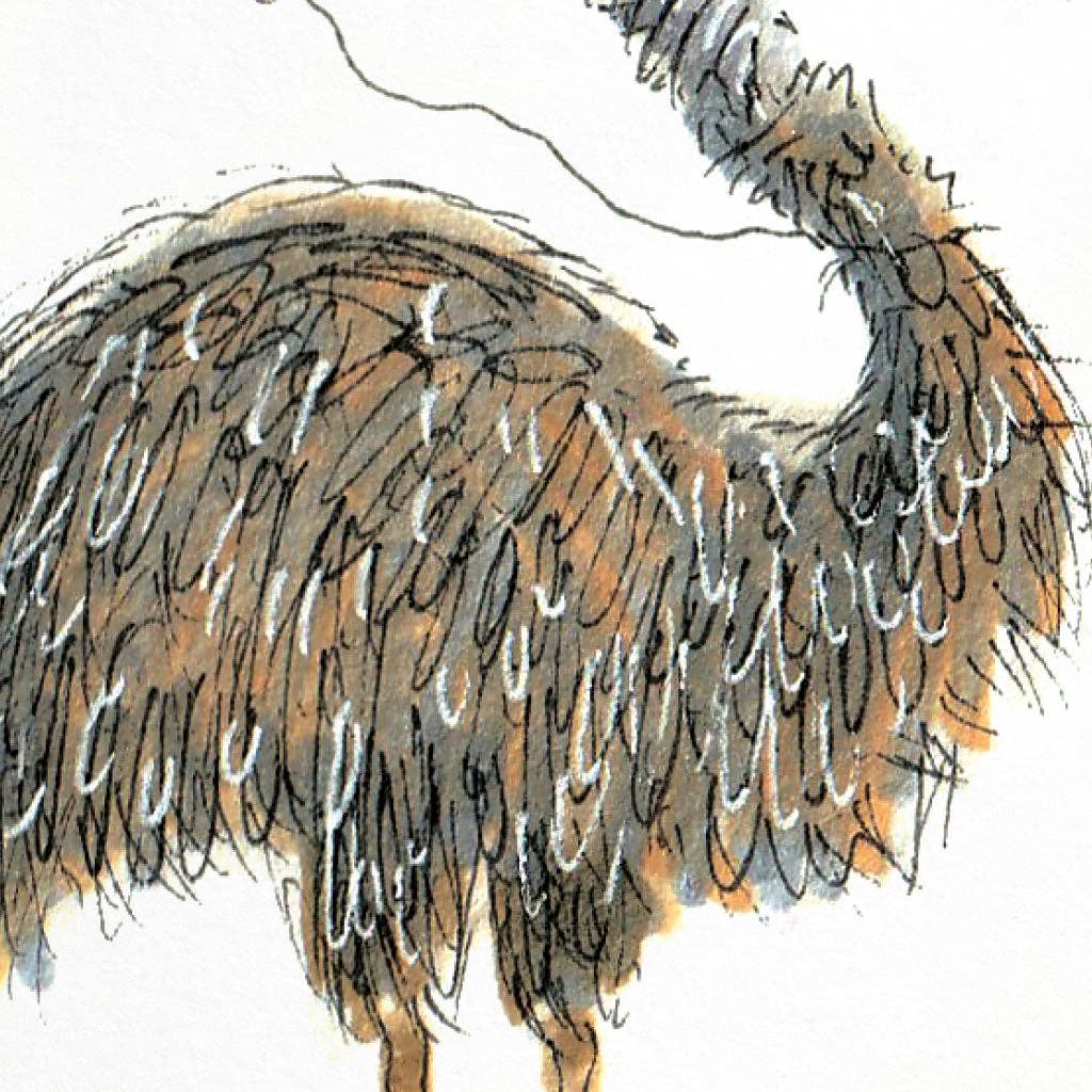 Have an Emusing Birthday